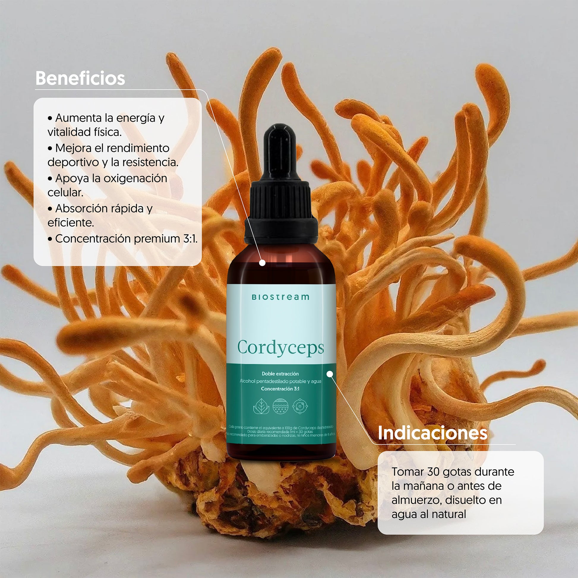 Hongo Cordyceps en Gotas - Ultra Concentrado 30ml