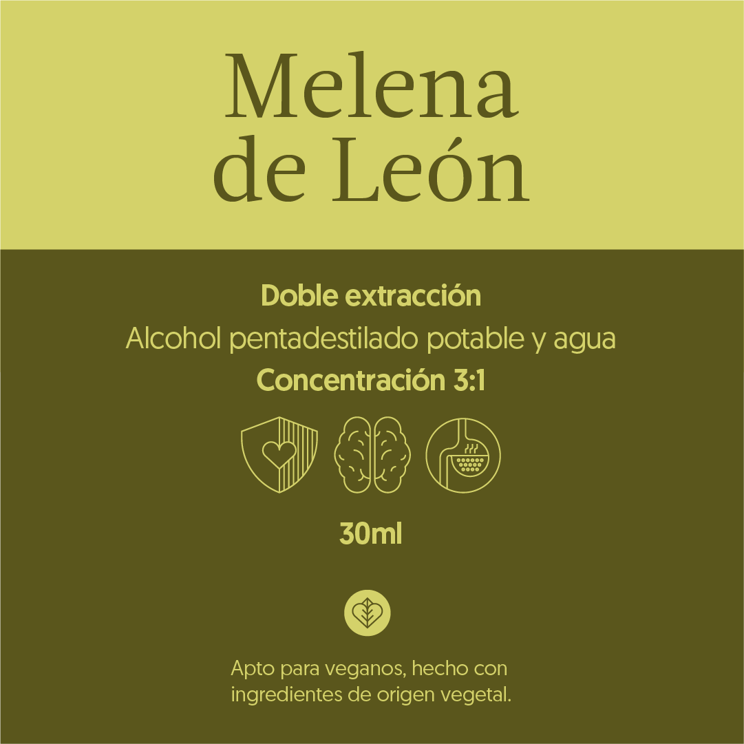 Hongo Melena de León en Gotas - Ultra Concentrado 30ml