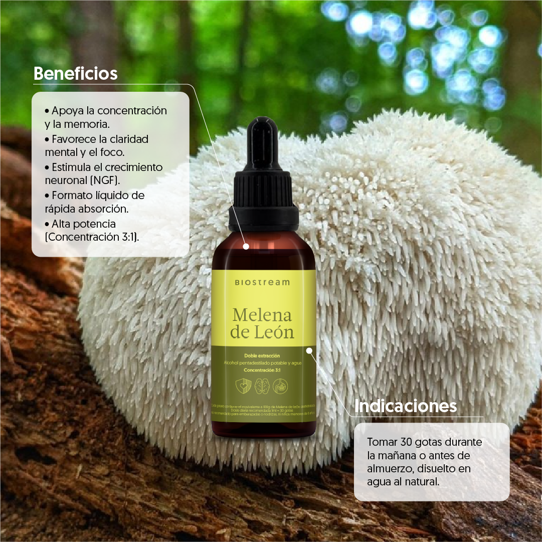 Hongo Melena de León en Gotas - Ultra Concentrado 30ml