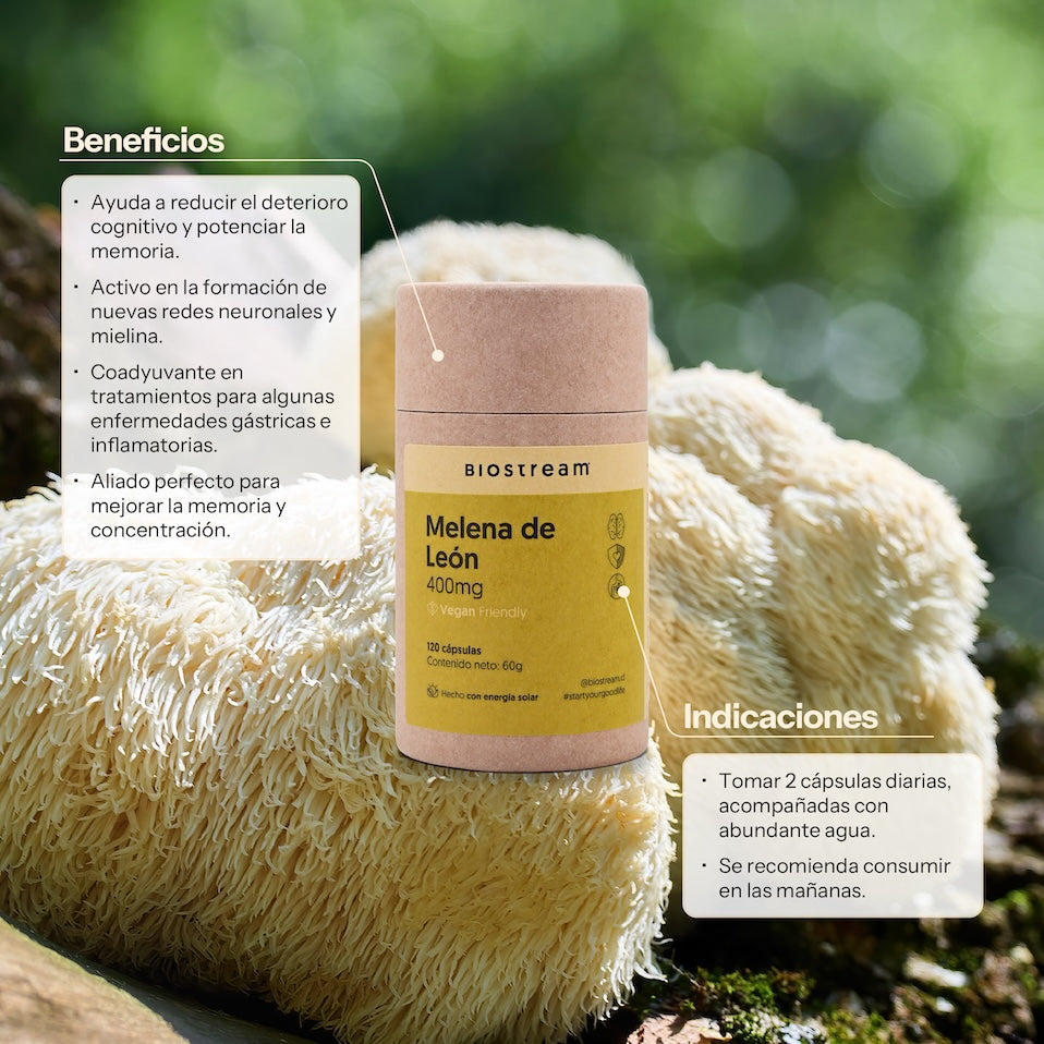 Hongo Melena de León 400mg 120 Cápsulas Vegano