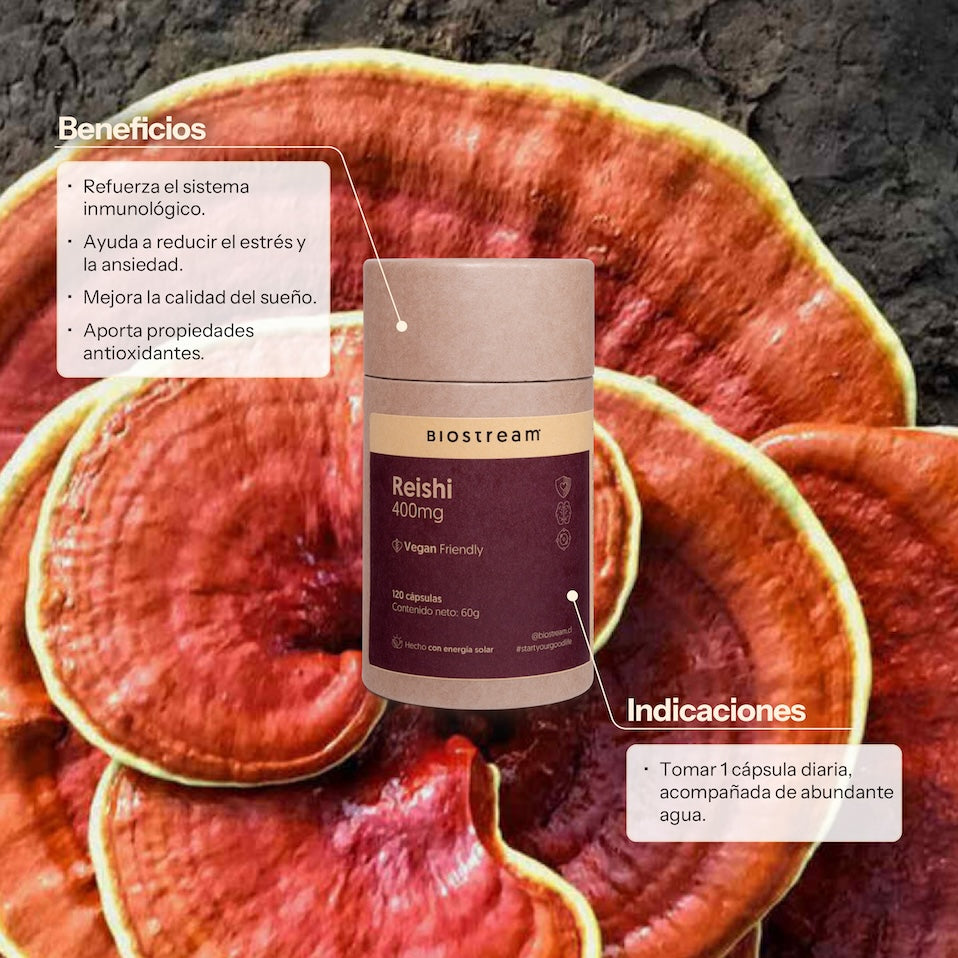 Hongo Reishi 400mg 120 Capsulas Vegano