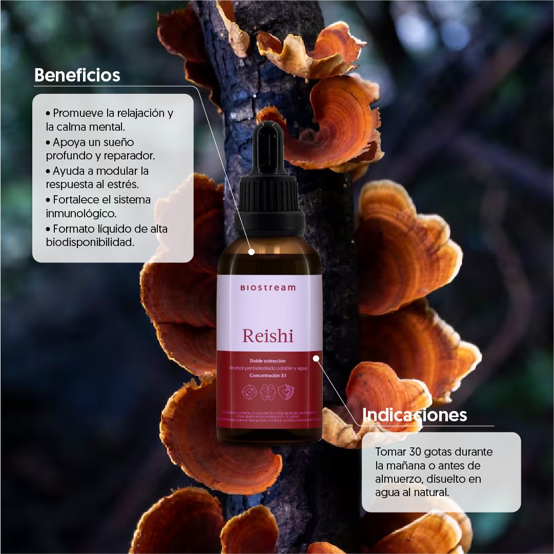 Hongo Reishi en Gotas - Ultra Concentrado 30ml