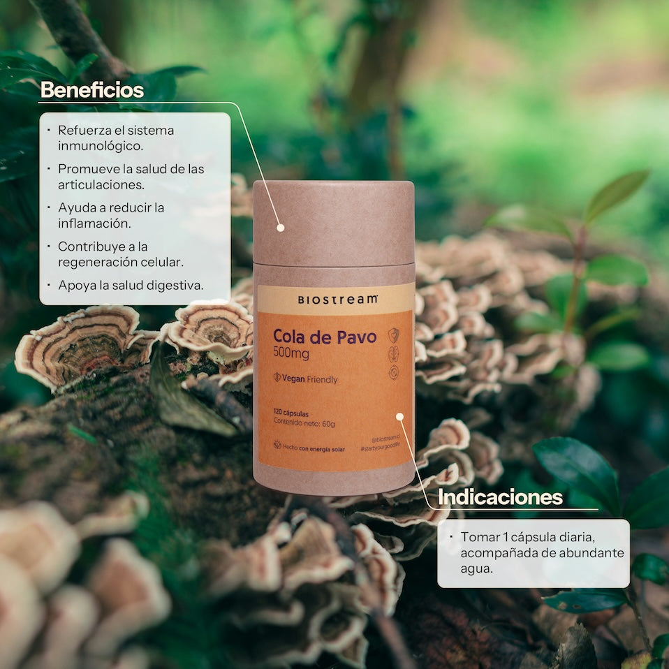 Hongo Cola de Pavo 500mg 120 Cápsulas Vegano