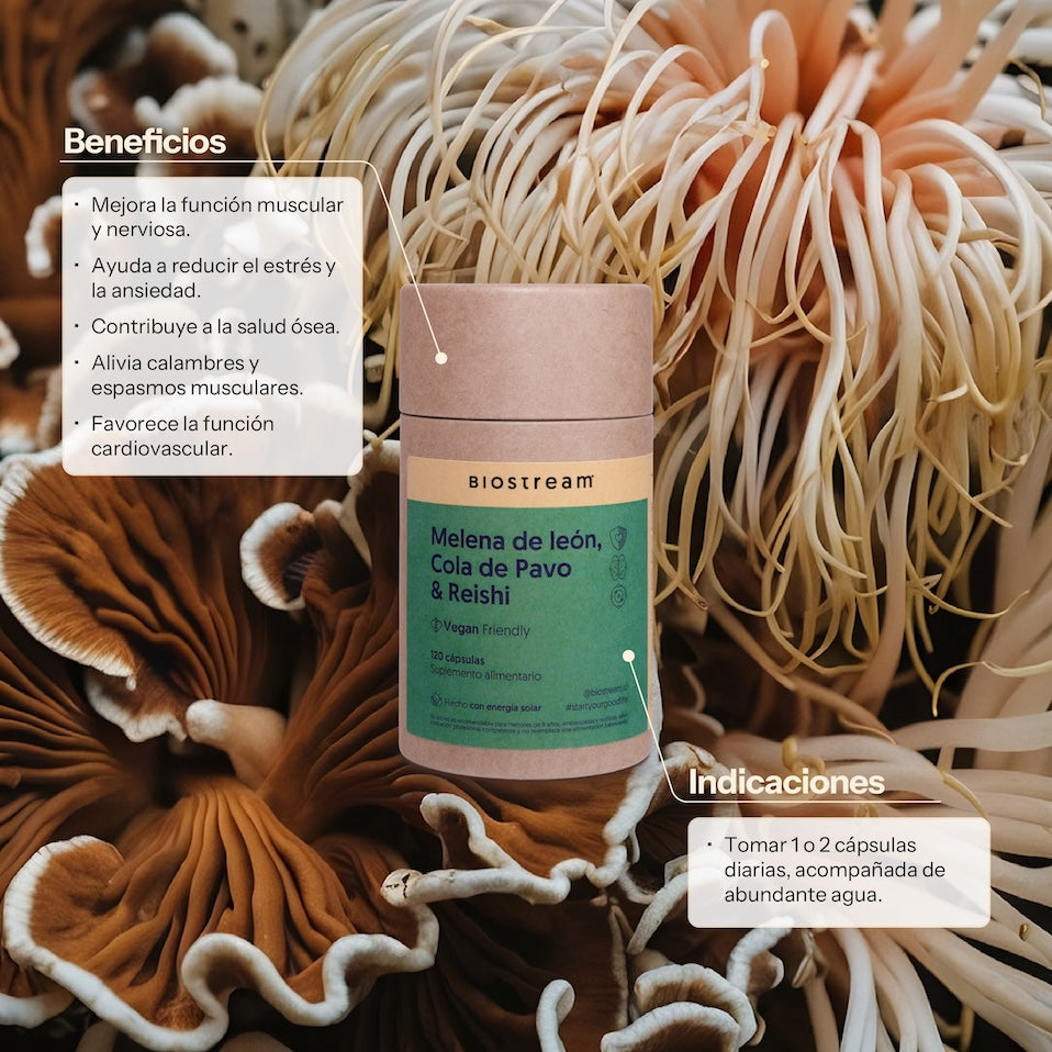 Melena de león, Cola de Pavo & Reishi 120 Cápsulas Vegano