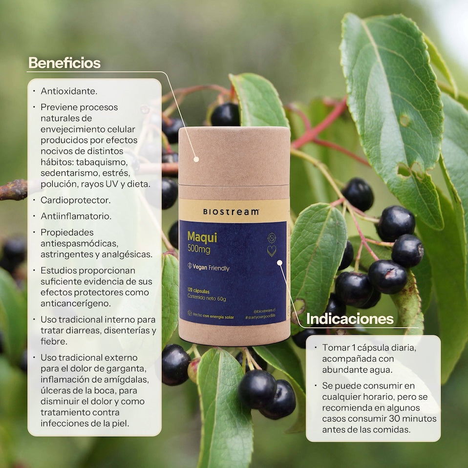 Maqui 500mg 120 Cápsulas Vegano