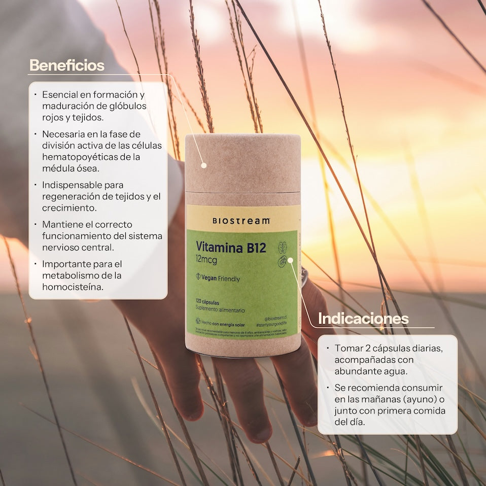 Vitamina B12 12mcg 120 Cápsulas Vegana