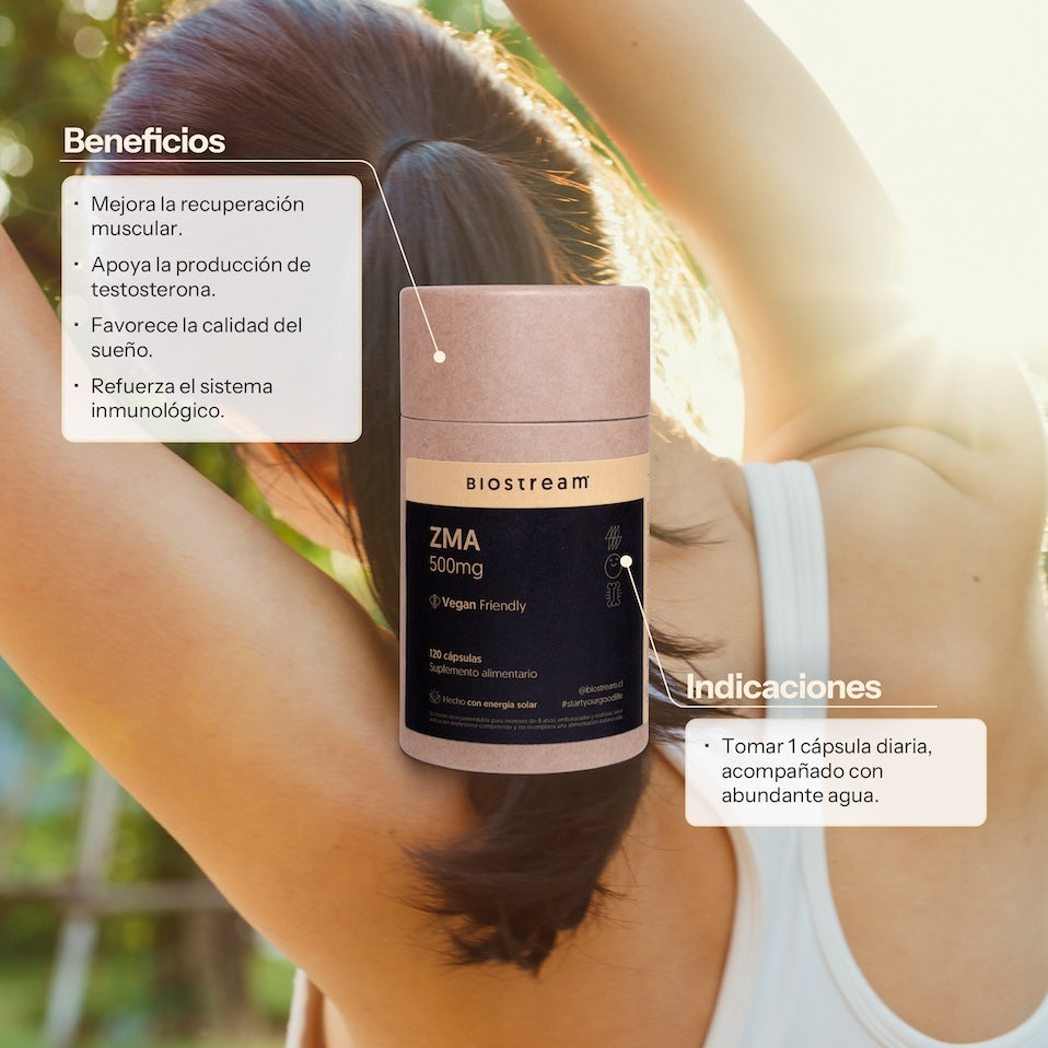 ZMA 500mg (Zinc, Magnesio, Vitamina B6) 120 Cápsulas Vegano