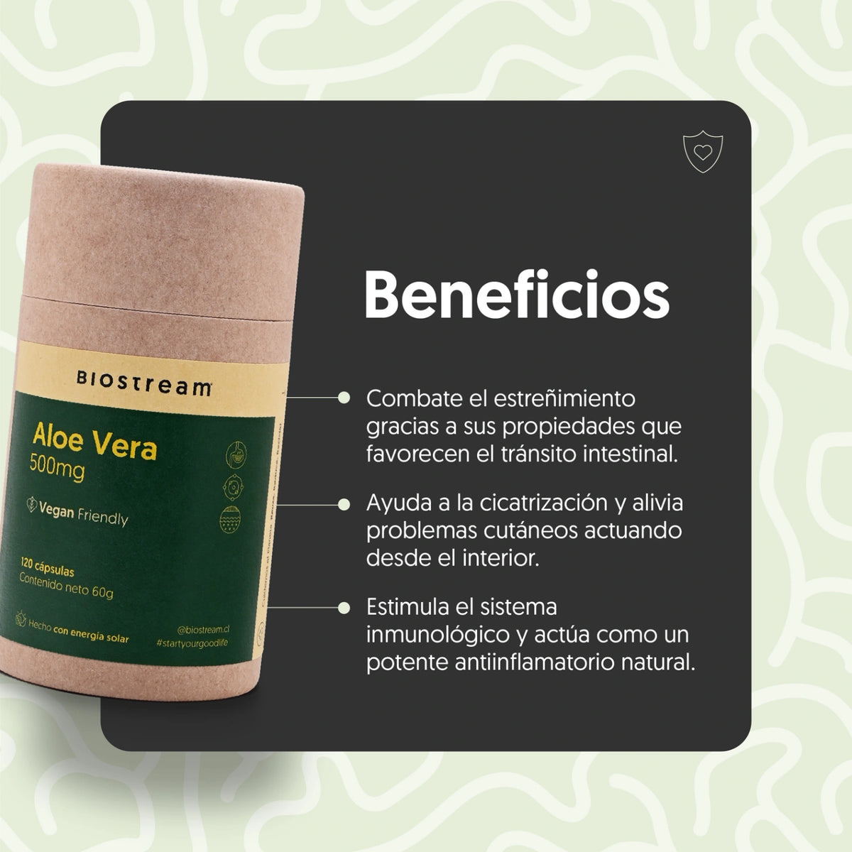 Aloe Vera 500mg 120 Cápsulas Vegano