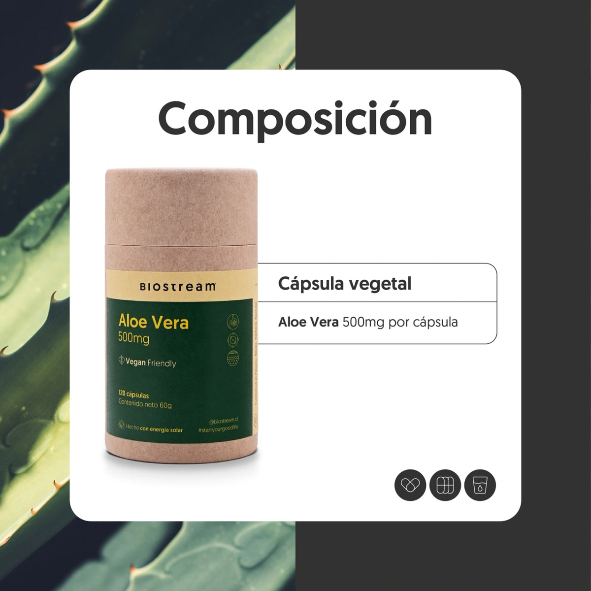 Aloe Vera 500mg 120 Cápsulas Vegano