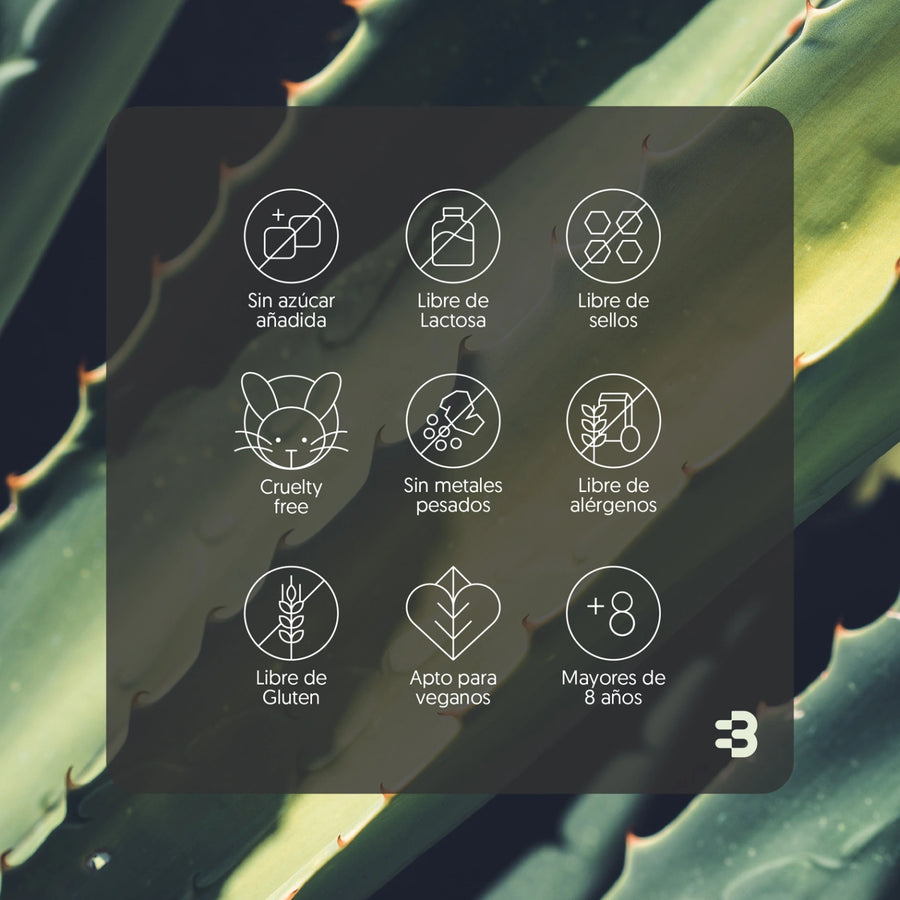 Qué es el aloe vera en cápsulas