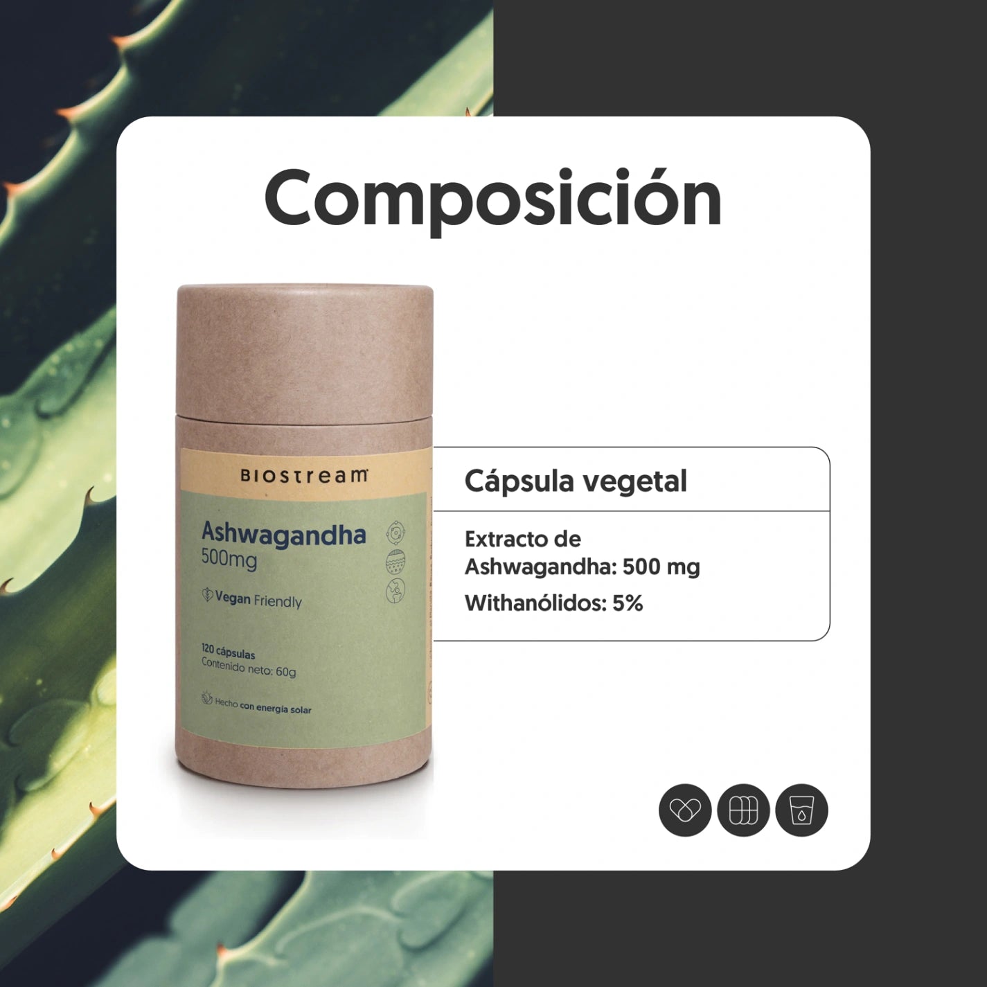 Ashwagandha 500mg 120 Cápsulas Vegana