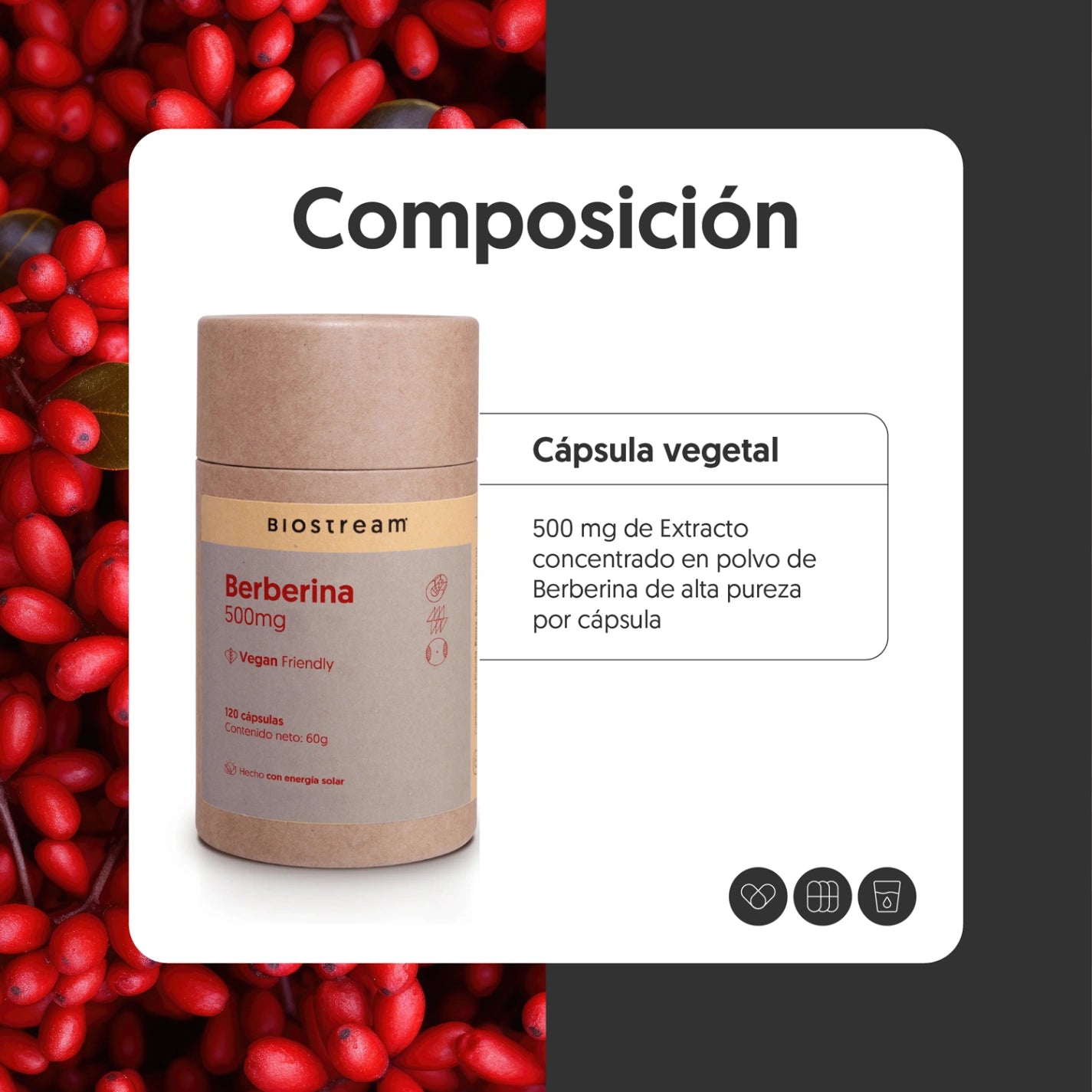 Berberina 500mg 120 Cápsulas Vegana