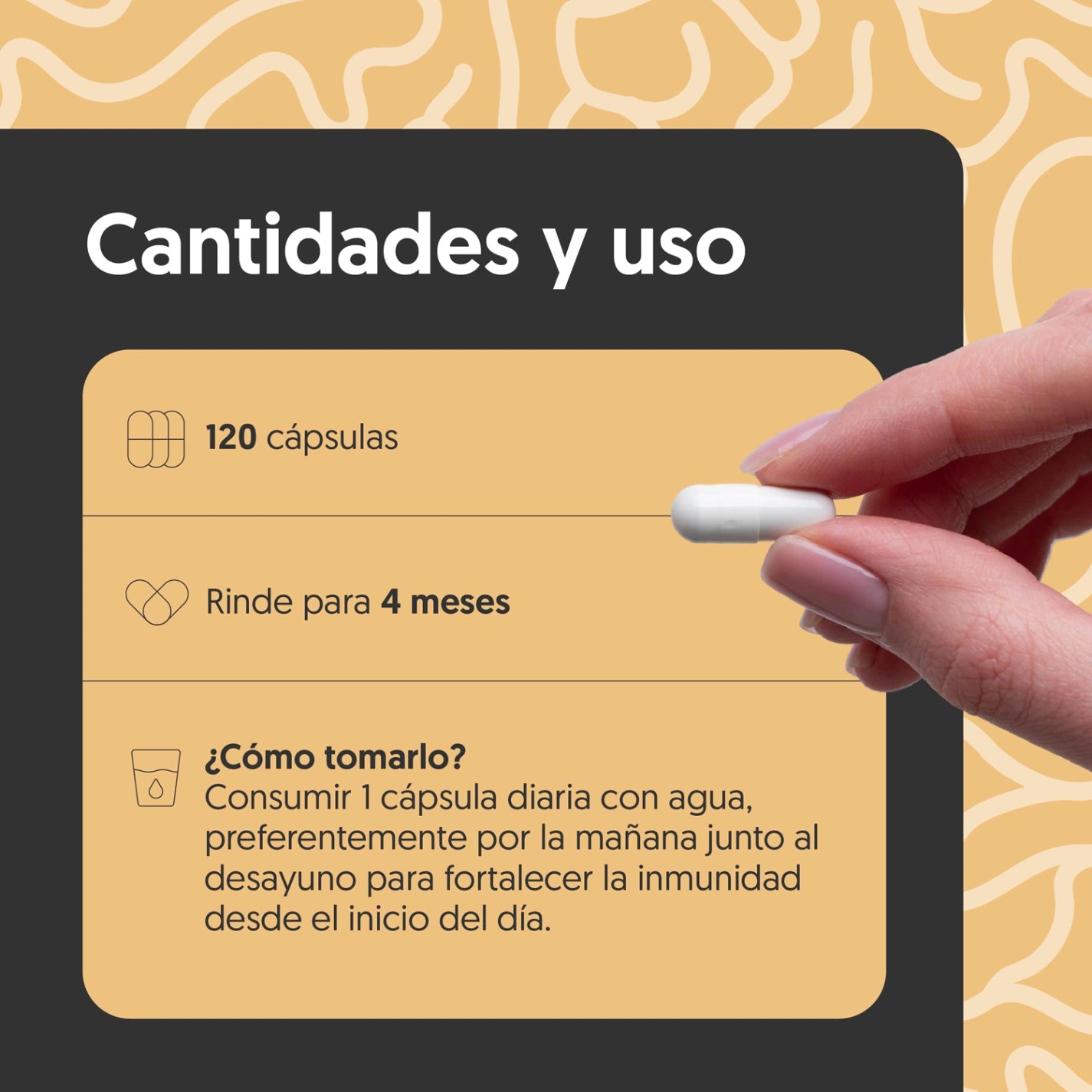 Hongo Cola de Pavo 500mg 120 Cápsulas Vegano