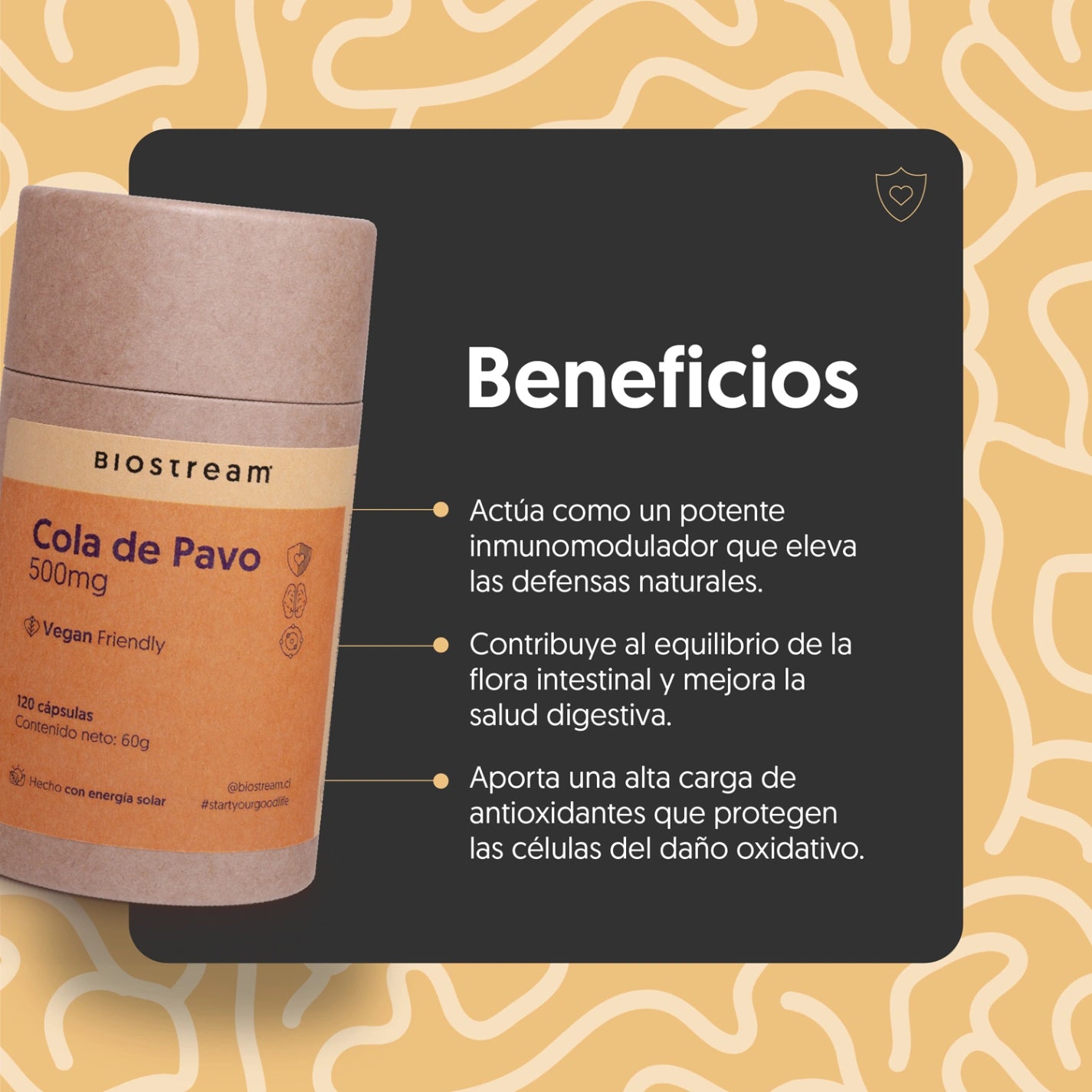 Hongo Cola de Pavo 500mg 120 Cápsulas Vegano