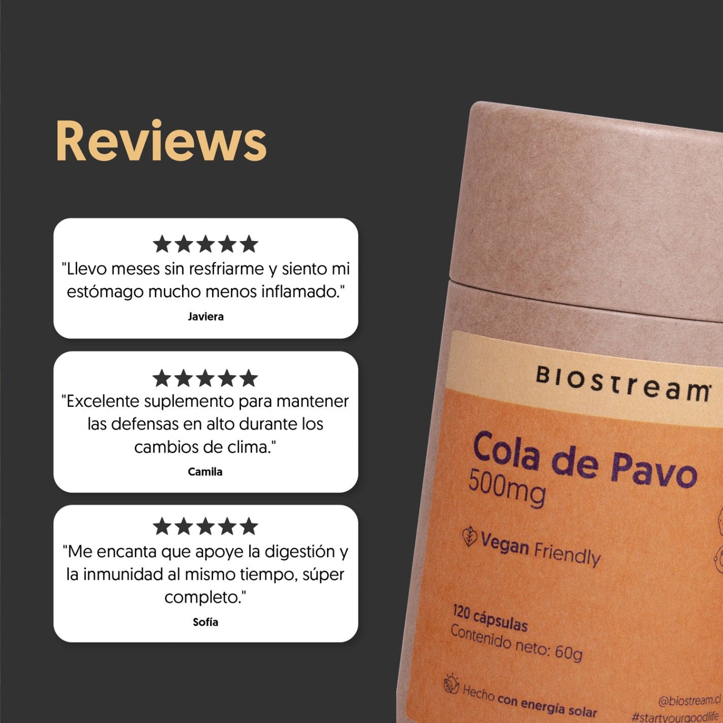 Hongo Cola de Pavo 500mg 120 Cápsulas Vegano