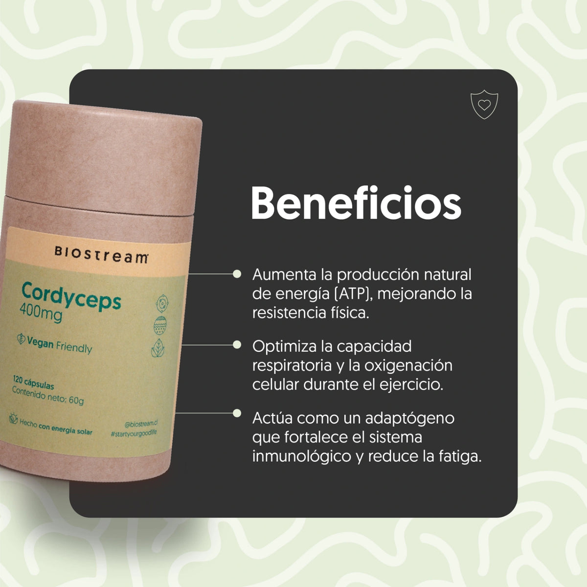 Hongo Cordyceps 400mg 120 Capsulas Vegano