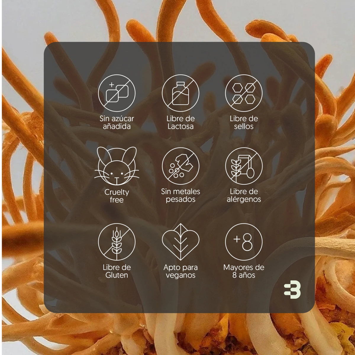 Hongo Cordyceps 400mg 120 Capsulas Vegano