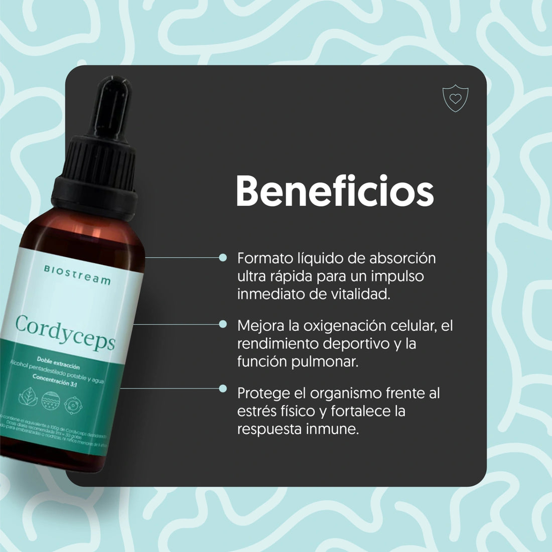 Cordyceps: para qué sirve