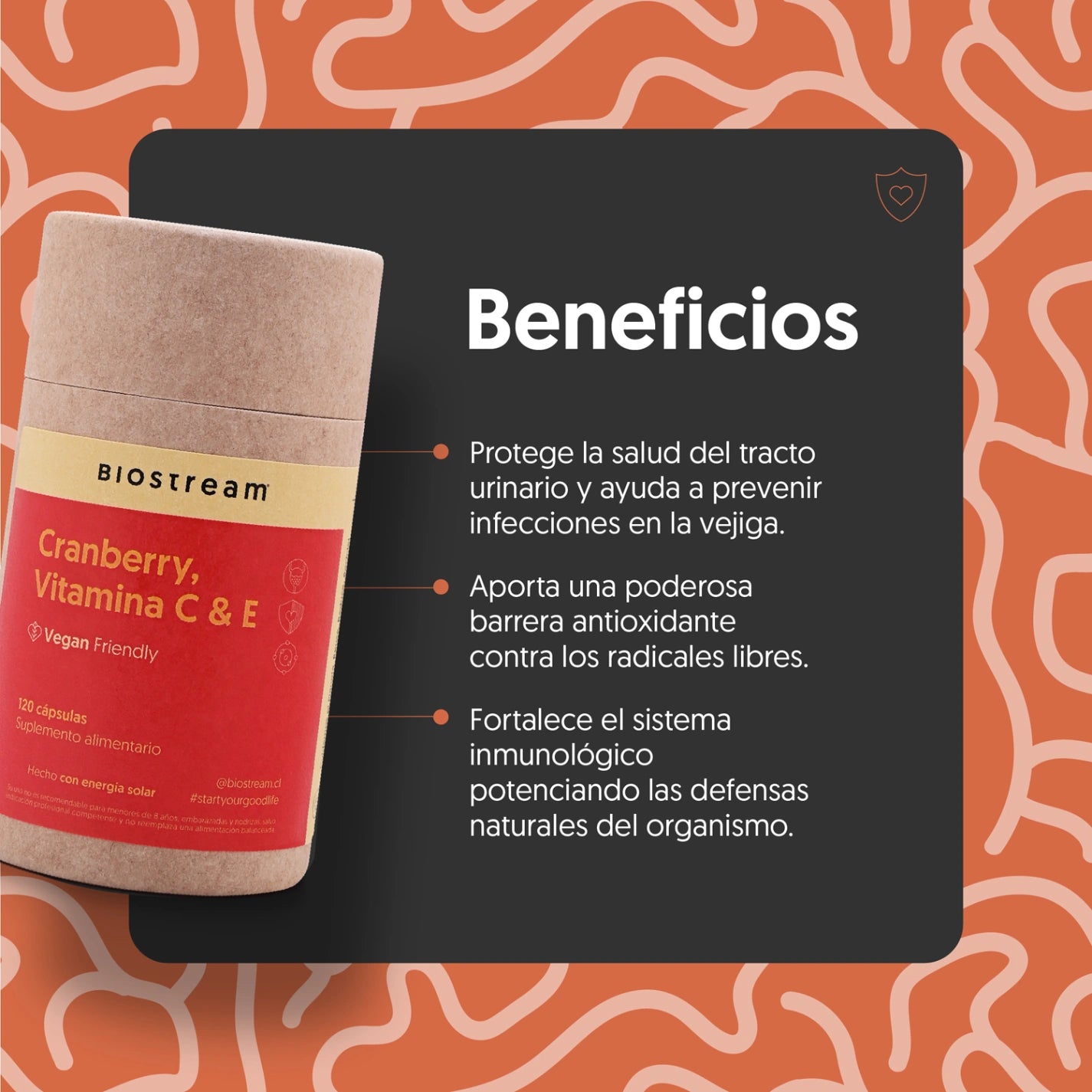 Cranberry, Vitamina C & Vitamina E 120 Cápsulas Vegano