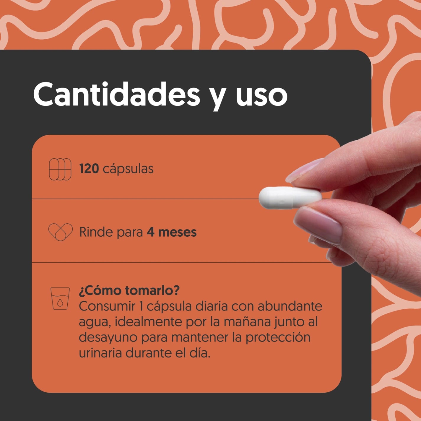 Cranberry, Vitamina C & Vitamina E 120 Cápsulas Vegano