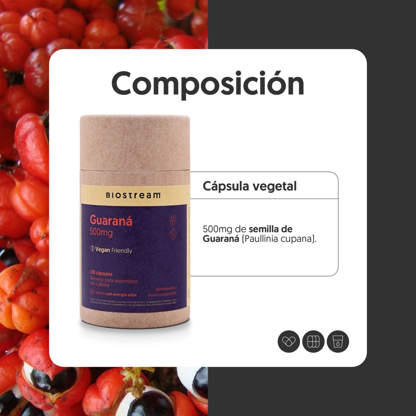 Guaraná 500mg 120 Cápsulas Vegano