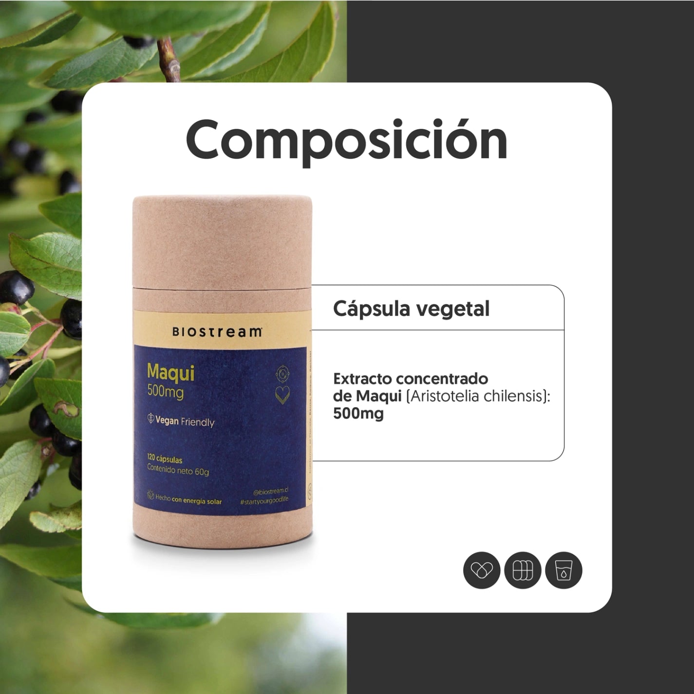 Maqui 500mg 120 Cápsulas Vegano