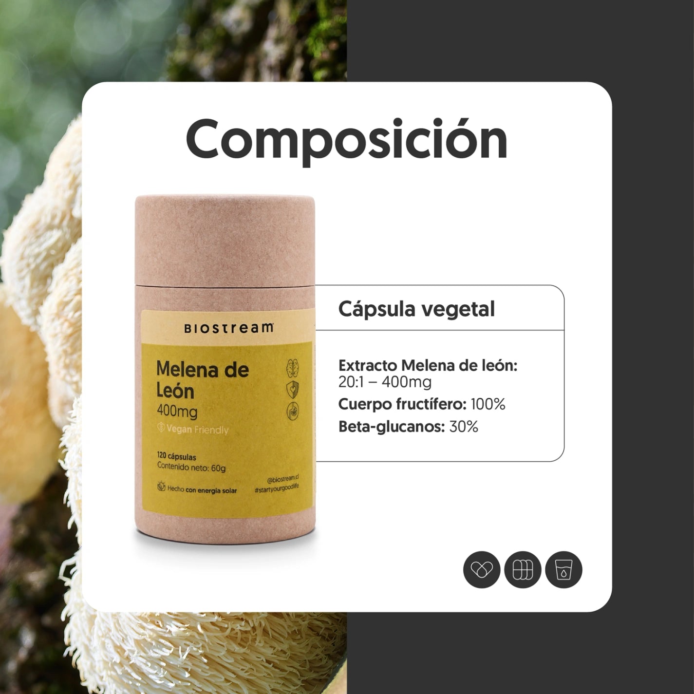 Hongo Melena de León 400mg 120 Cápsulas Vegano