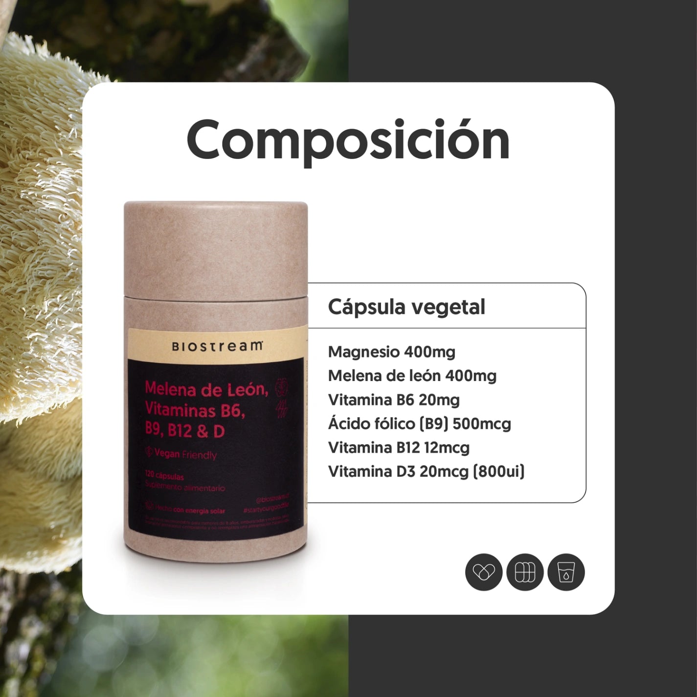 Melena de león, Vitaminas B6, B9, B12 & Vitamina D 120 cápsulas Vegano