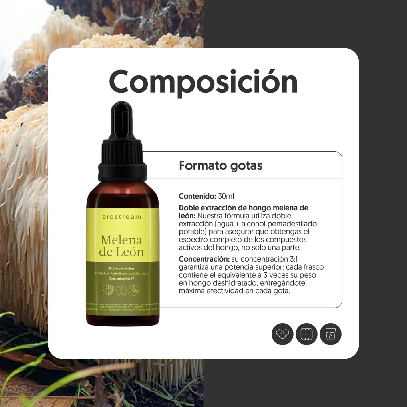 Hongo Melena de León en Gotas - Ultra Concentrado 30ml