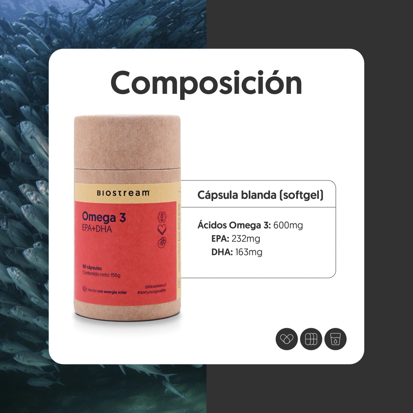 Omega 3 1000mg Epa + Dha 90 Cápsulas Blandas