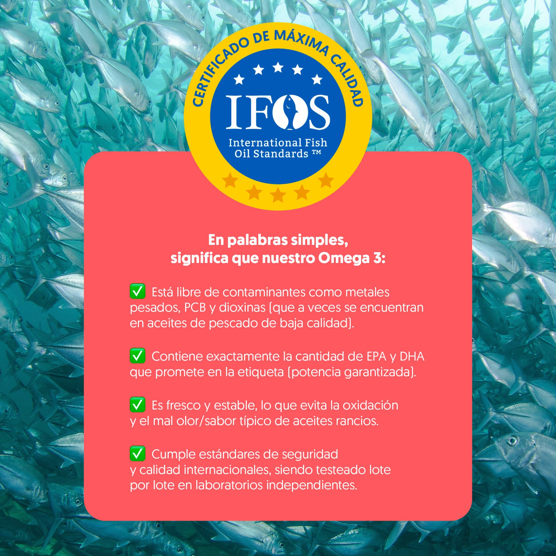 Omega 3 1000mg Epa + Dha 90 Cápsulas Blandas