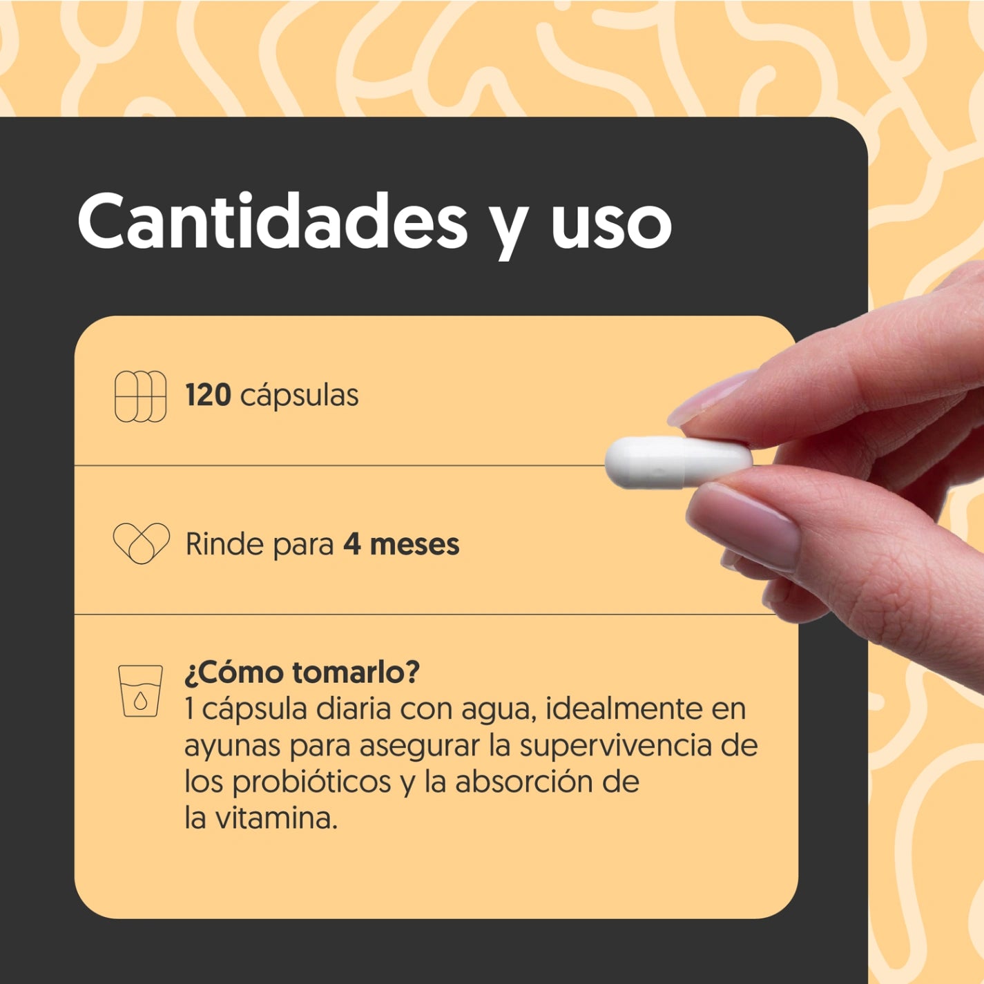 Probióticos + Vitamina C 120 Capsulas