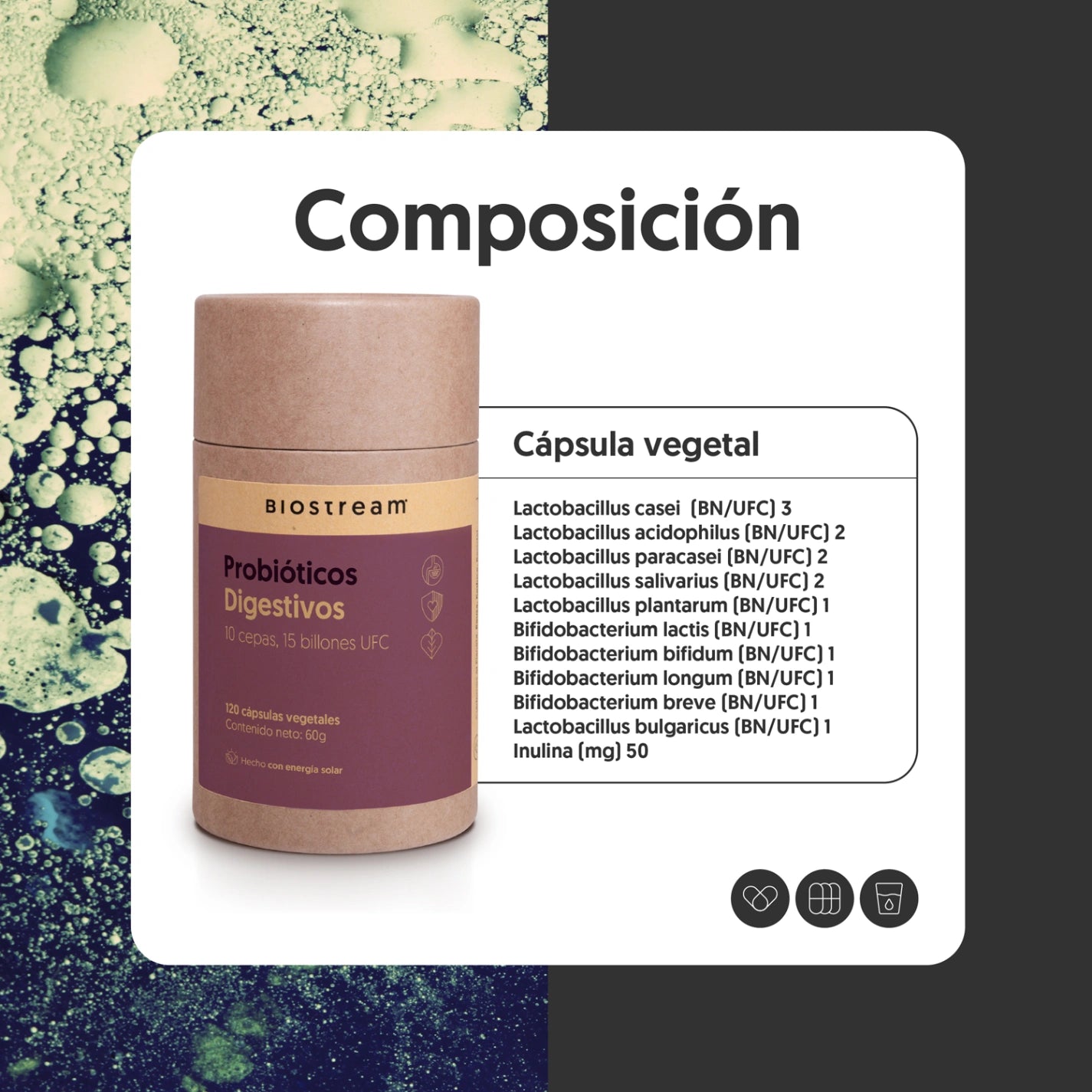 Probióticos Flora Digestiva 10 cepas, 15 billones UFC 120 cápsulas