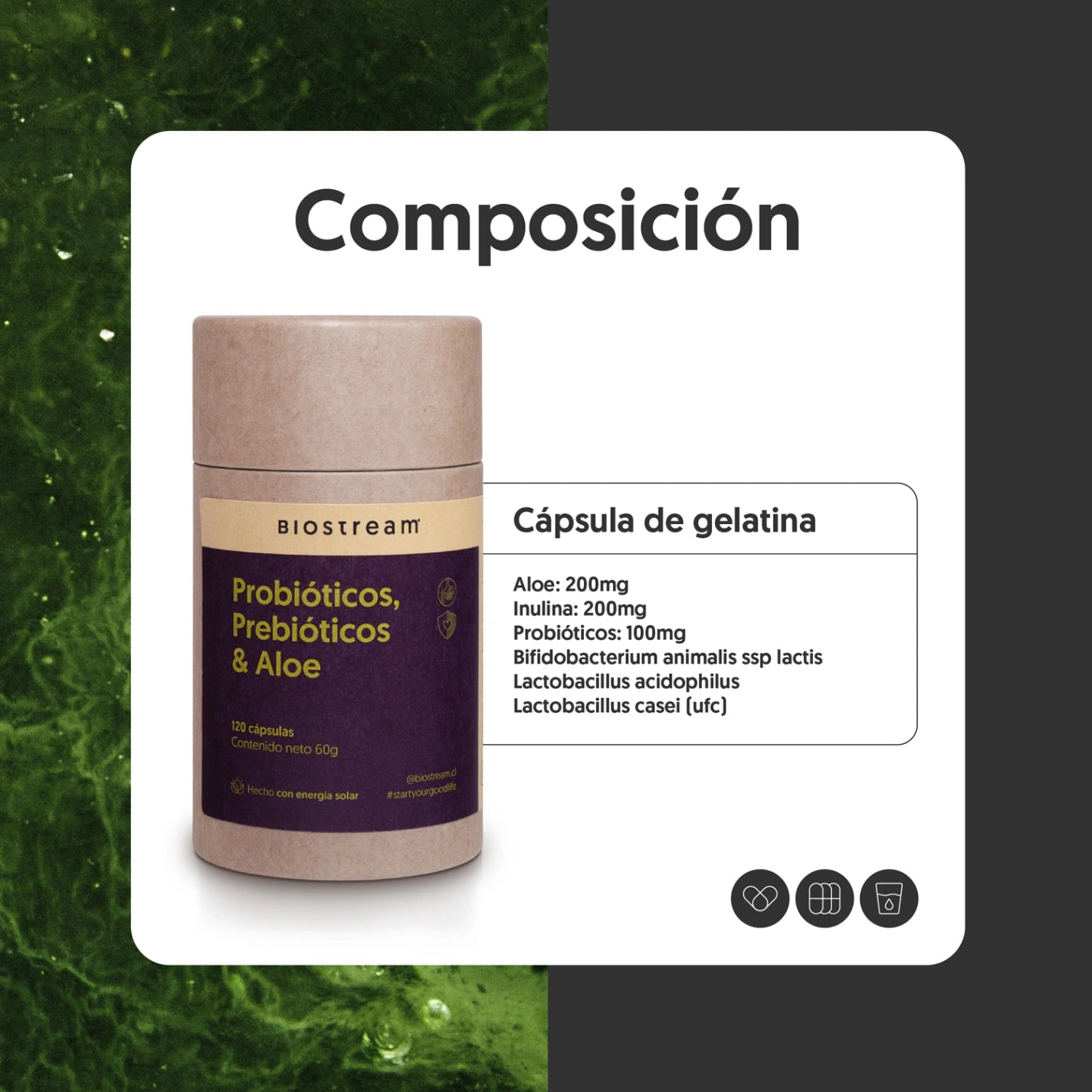 Probióticos, Prebióticos & Aloe 120 Cápsulas