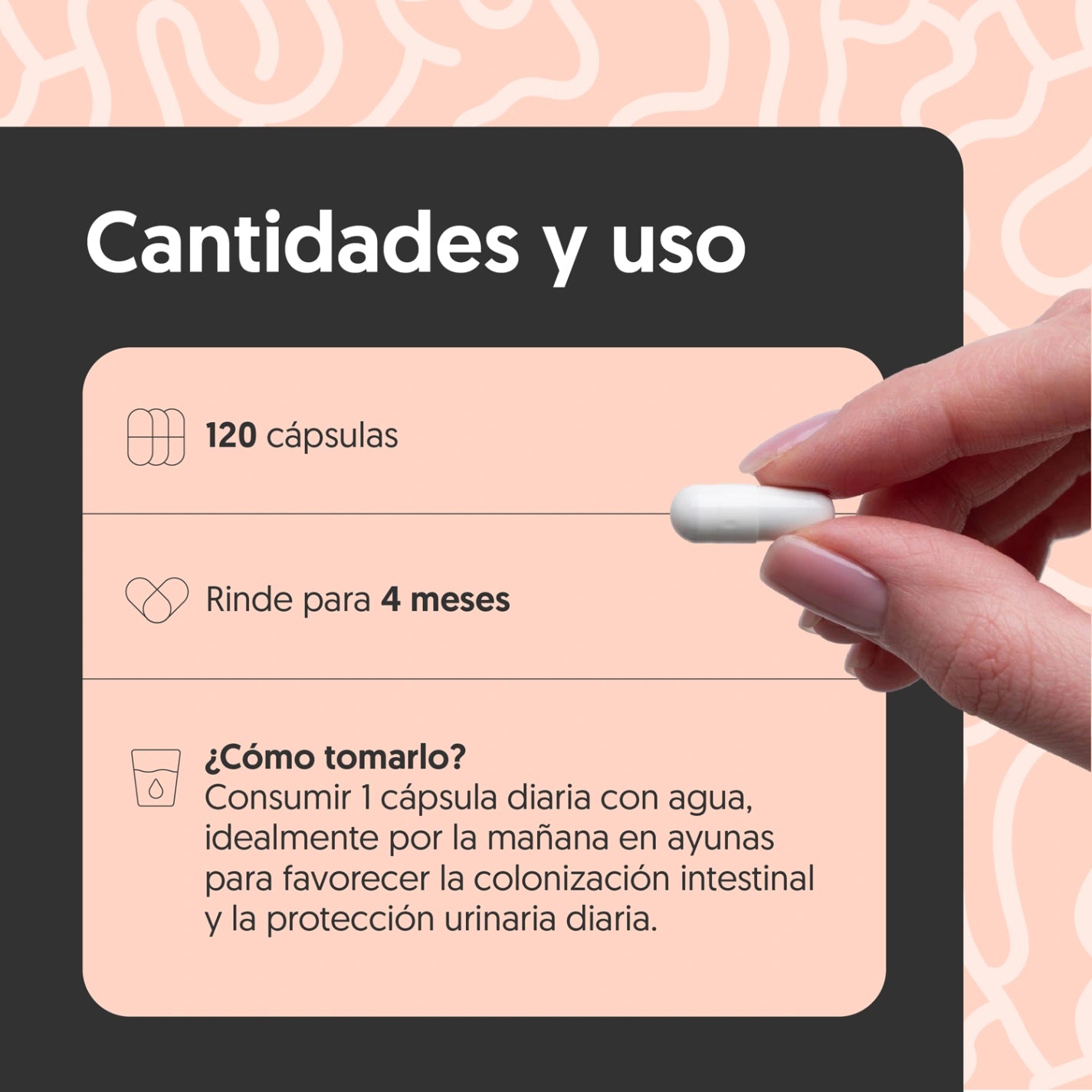 Probióticos, Prebióticos & Cranberry 120 Capsulas