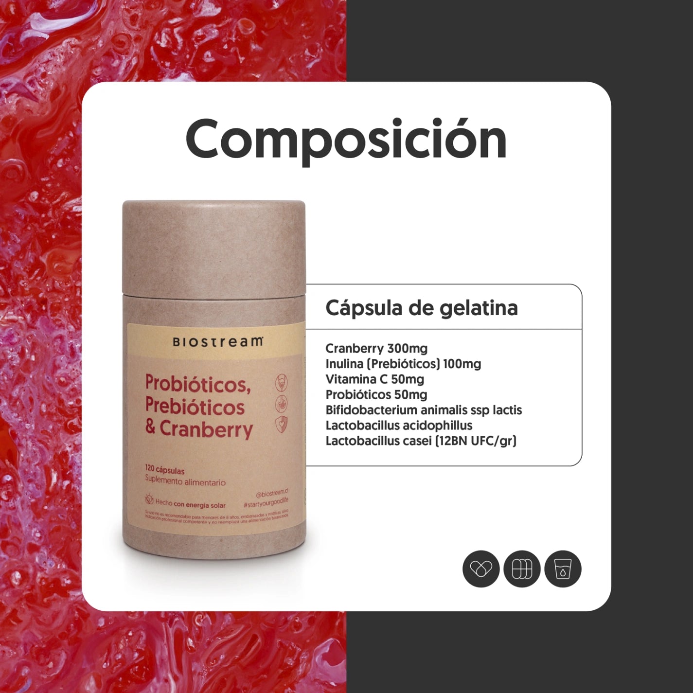 Probióticos, Prebióticos & Cranberry 120 Capsulas