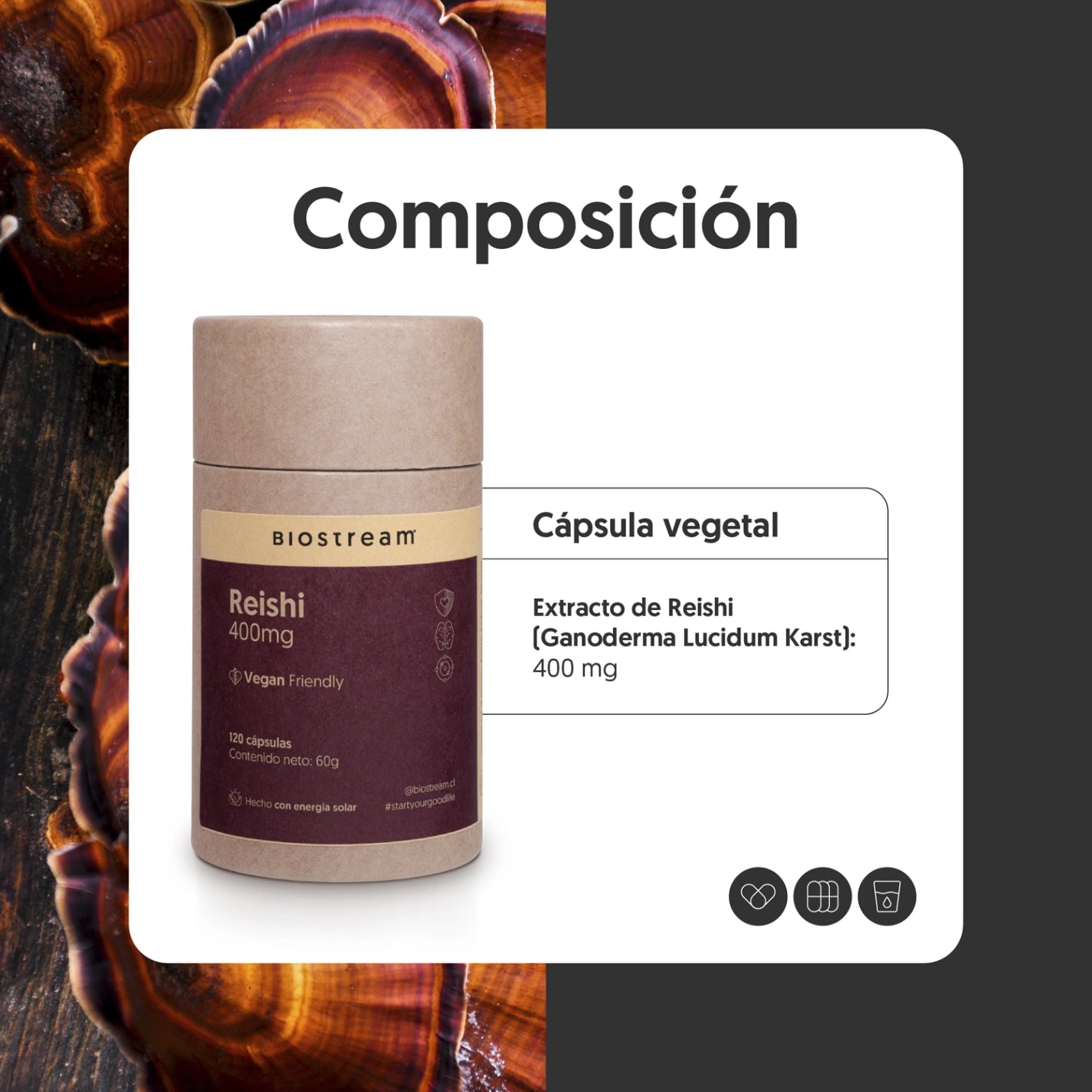 Hongo Reishi 400mg 120 Capsulas Vegano