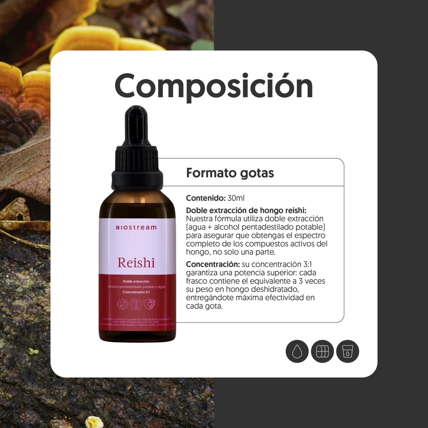 Hongo Reishi en Gotas - Ultra Concentrado 30ml