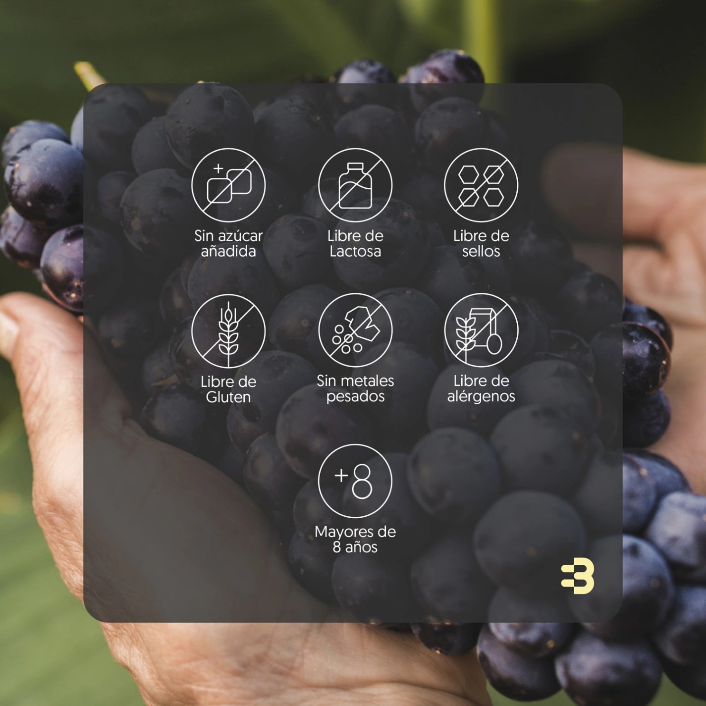 Resveratrol 1000mg 120 Cápsulas Vegano