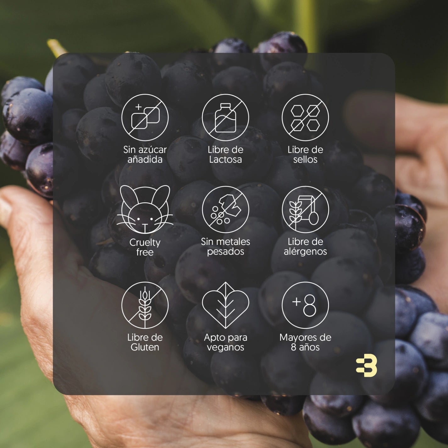 Resveratrol 1000mg 120 Cápsulas Vegano