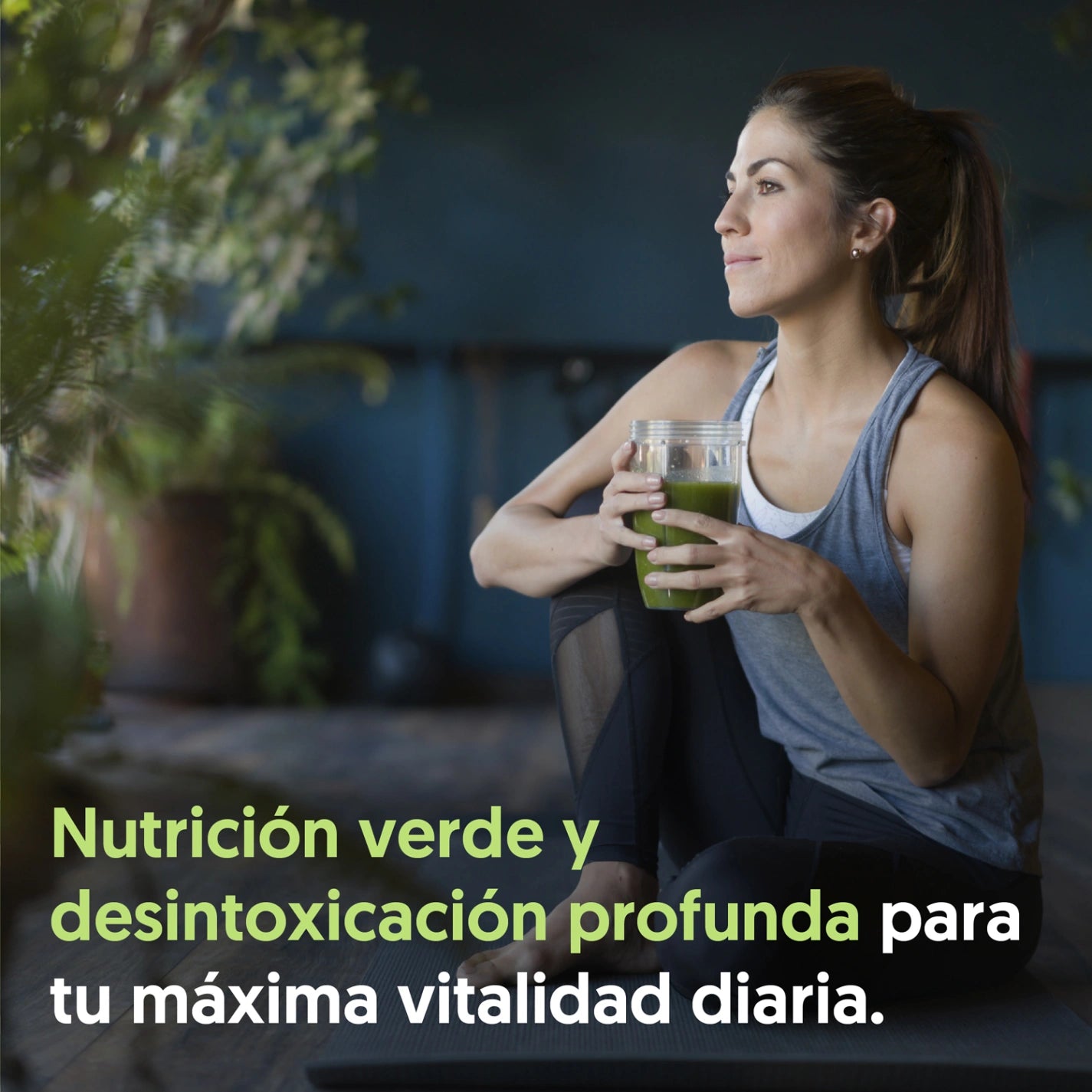 Spirulina 500mg 120 Cápsulas