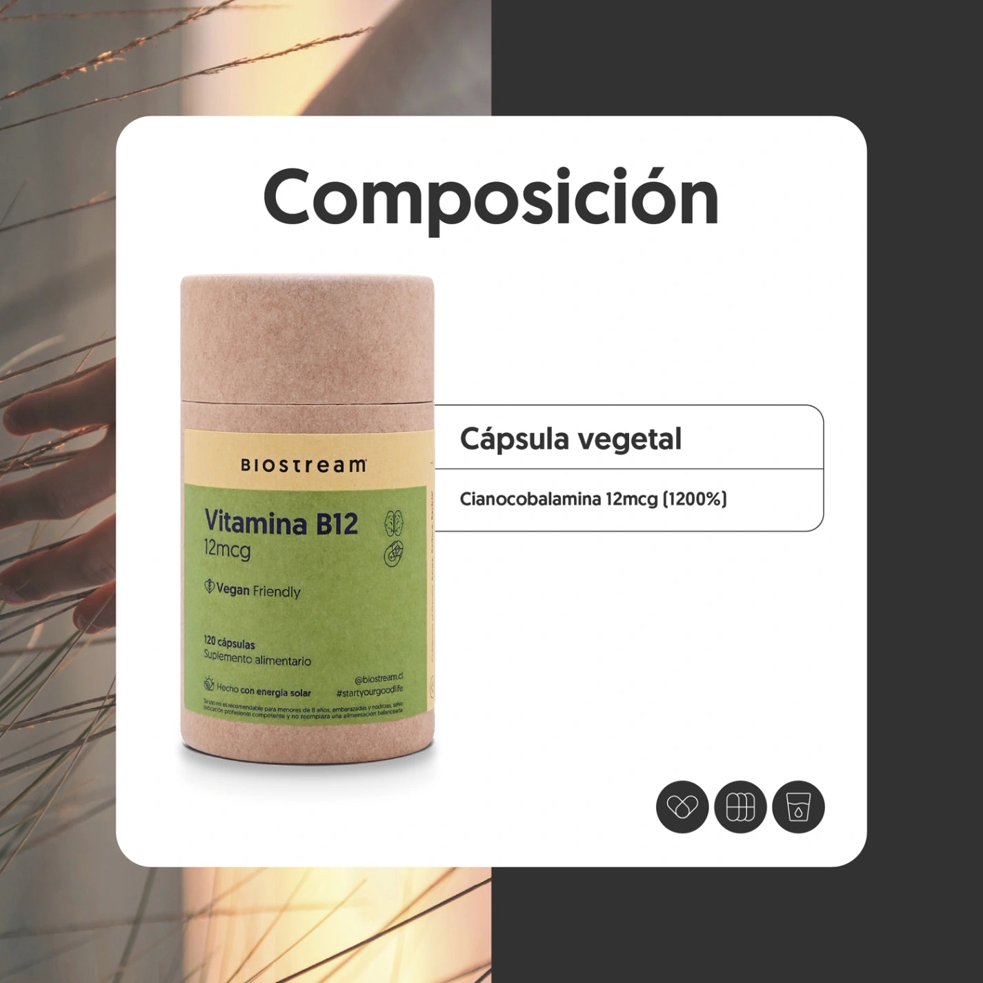 Vitamina B12 12mcg 120 Cápsulas Vegana