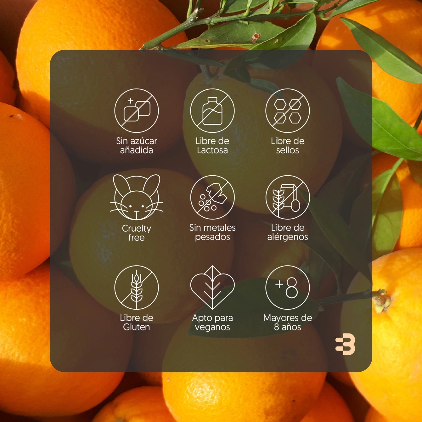 Vitamina C 1000mg 120 Comprimidos Vegano