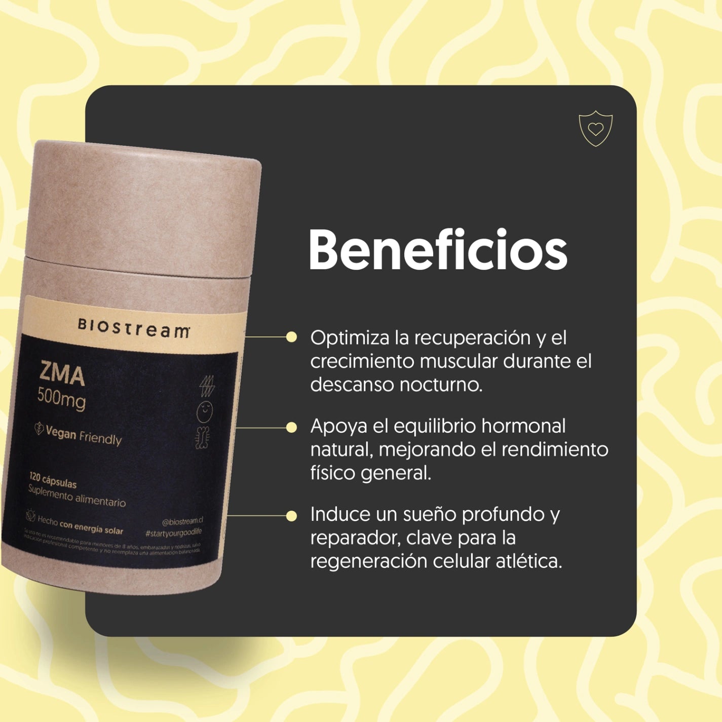 ZMA 500mg (Zinc, Magnesio, Vitamina B6) 120 Cápsulas Vegano